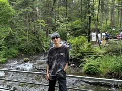 -峡谷浮石林景区