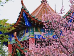 -开福禅寺
