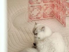 -山乙建设丨更懂年轻人的设计品牌