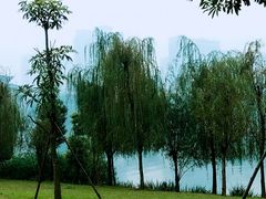 -眉山湿地公园(东坡区)