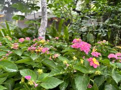 -大妙火锅·非物质文化遗产(东湖公园店)