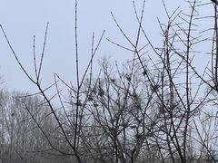 -翠湖国家城市湿地公园