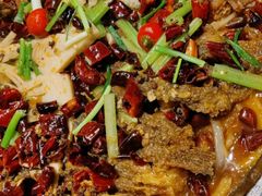 -老板恋上鱼(高新万达店)