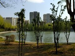 -青年湖公园水上世界