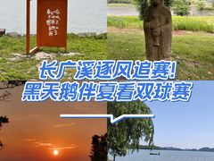 -长广溪湿地公园