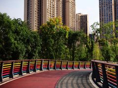 -府河摄影公园