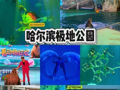 -哈尔滨极地公园