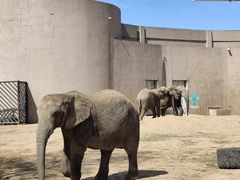 -鄂尔多斯野生动物园