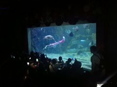 -台州海洋世界