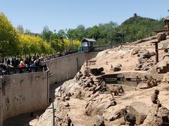 -石家庄市动物园