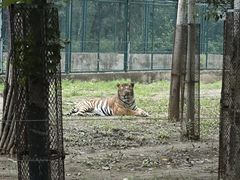 -秦皇岛野生动物园