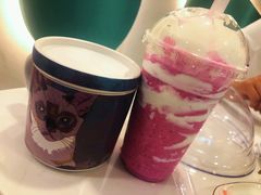 -飞行喵MR PILOT|猫舍·猫咖(静安大融城店)