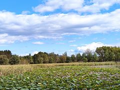 -野鸭湖国家湿地公园