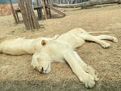 -泉城欧乐堡海洋极地世界