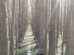 -采石矶景区