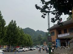 -栾川竹海野生动物园