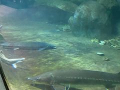 -福州罗源湾海洋世界旅游区