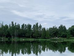 -北坞公园