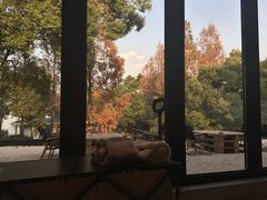 -J Create城市露营咖啡·简餐·宠物(上海动物园店)