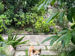 -谷咖啡·鲜花绿植花园餐厅