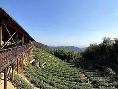 -长沙黑麋峰国家森林公园