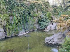 -静安公园(静安寺街道)