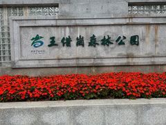 -王借岗森林公园