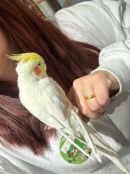 点击看大图 -Zoolung Zoolung动物主题公园(海信广场店)