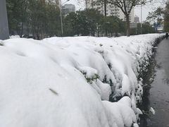 -小山城·馋嘴蛙(亚运村店)