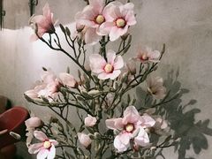 -LYFATTI 莱芙缇(赣水路店)