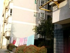 -一尊皇牛(丽彩万达店)