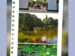 -晓港公园