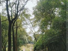 -重庆抗战遗址博物馆