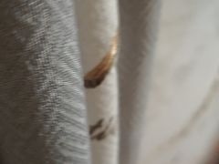 -八一湛江生蚝(文明东路总店)