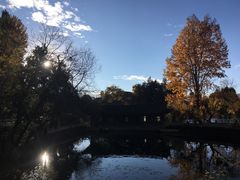 -黑龙潭公园