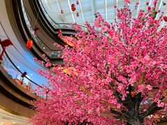 -奥园广场(广州番禺福德路店)