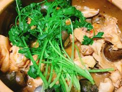 -食爺炭炉鸡煲·烧烤