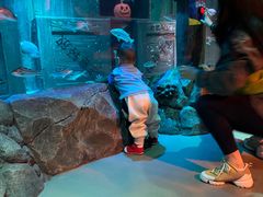 -沈阳海洋探索中心