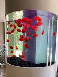 -新蝶变皮肤管理中心