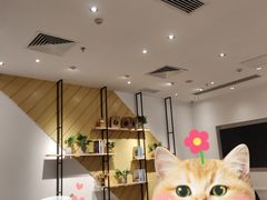 -CoCo都可(东城国贸店)