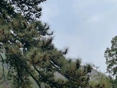 -潭柘寺景区
