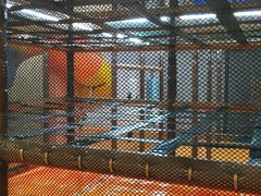 -蒙特利亲子乐园