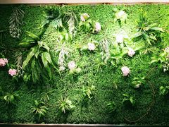 -绿茶餐厅(华联万柳店)