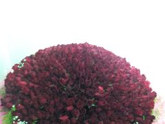 android_upload_pic-爱尚花坊(大林路店)