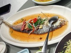 -红城阁·上海味道(四平路店)