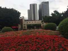 -东风公园