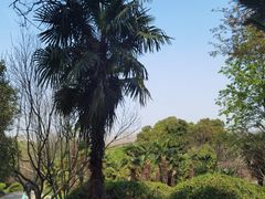-合肥野生动物园