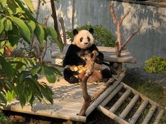 -南宁市动物园