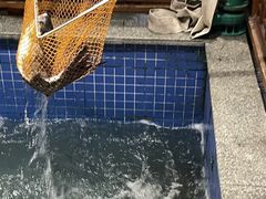-鱼头泡饭·湖北菜·非物质文化遗产(岳家嘴总店)
