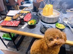-林记潮牛·牛肉火锅(上马墩店)
